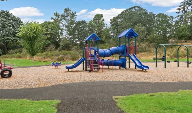 a playground with a slide