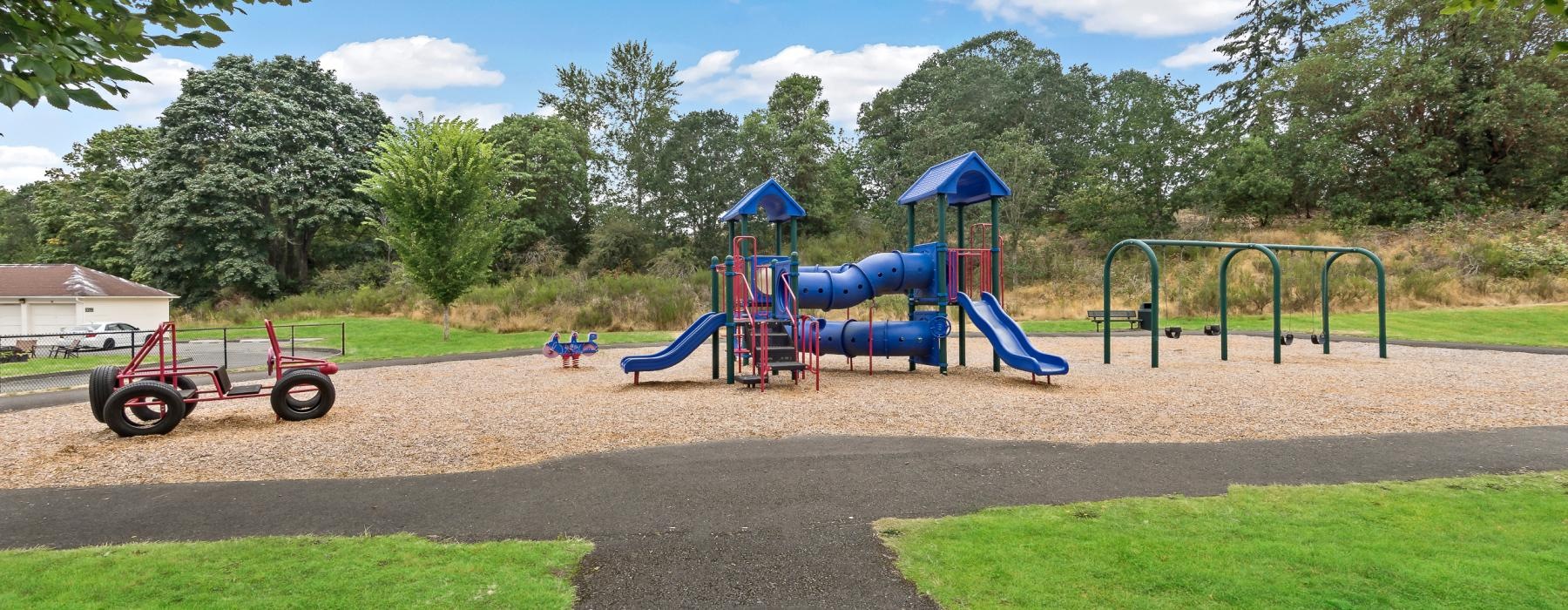 a playground with a slide