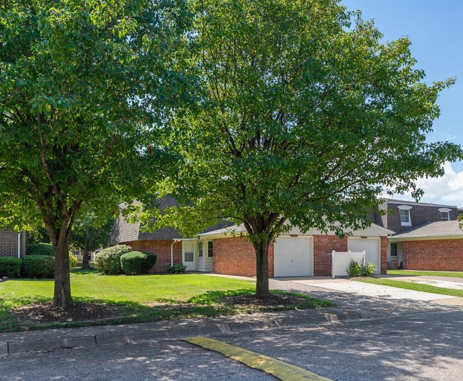 a street with trees and houses