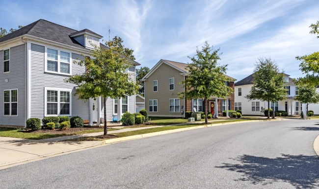 a street with houses along it