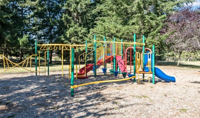 a playground with trees and a slide