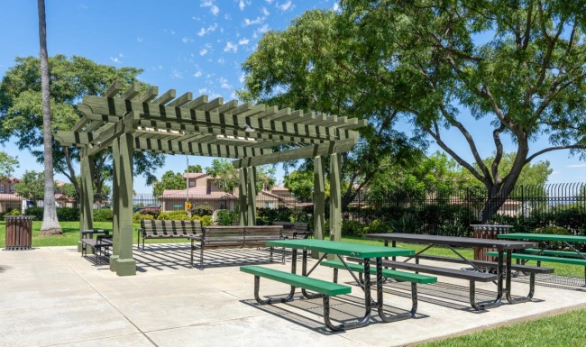 a park with benches and trees