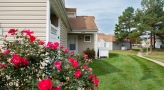 flowers and grass outside a home