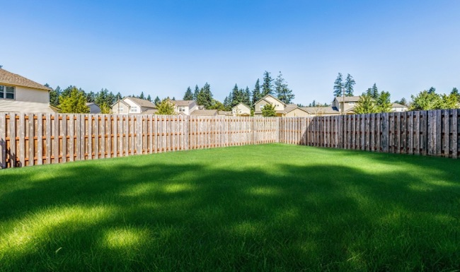 a fended-in yard with a green lawn