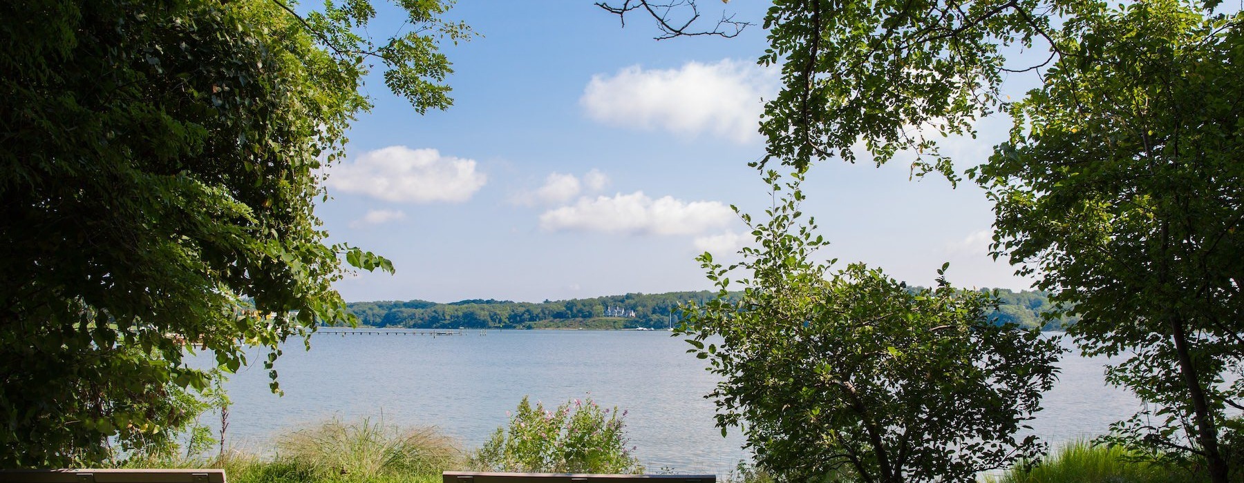 lake view in between trees