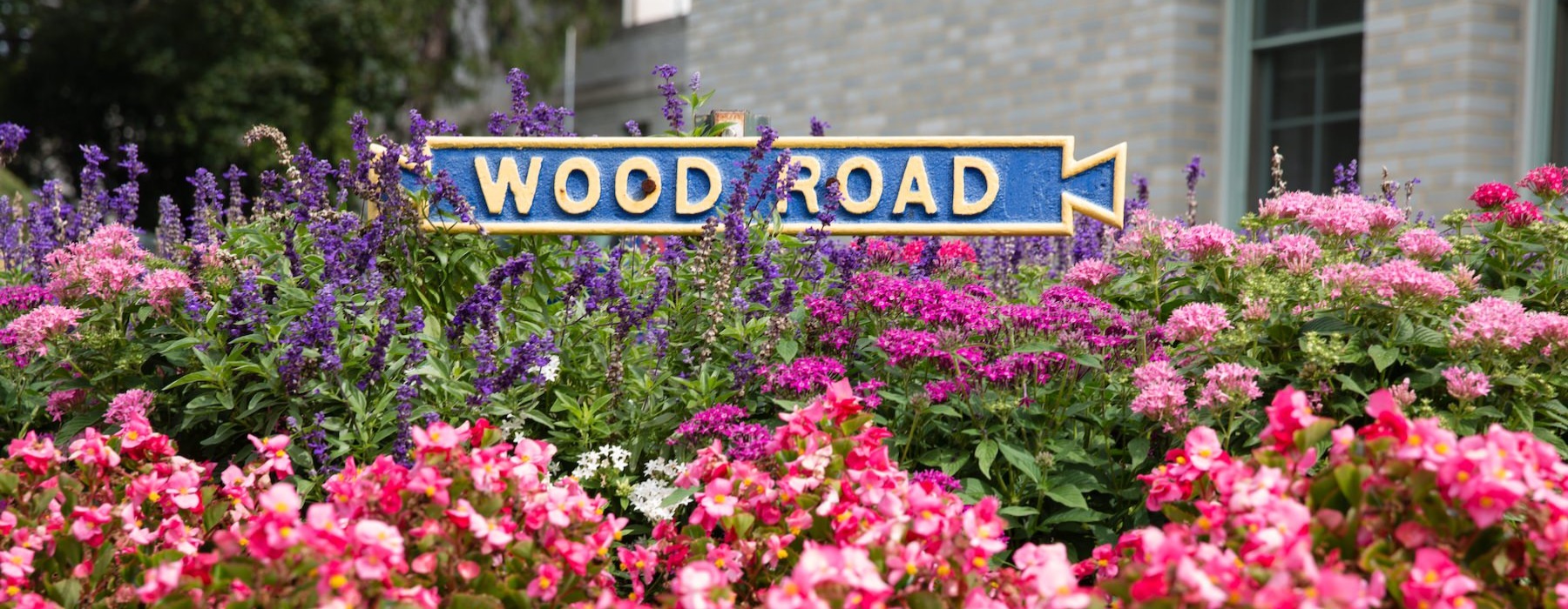 property sign in flower bed