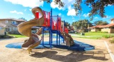 a playground with a slide