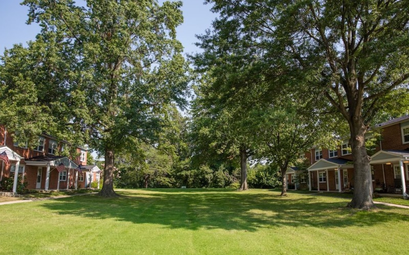 greenbelt between two buildings