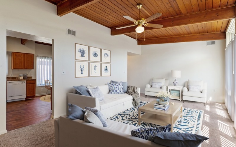 living room with natural lighting