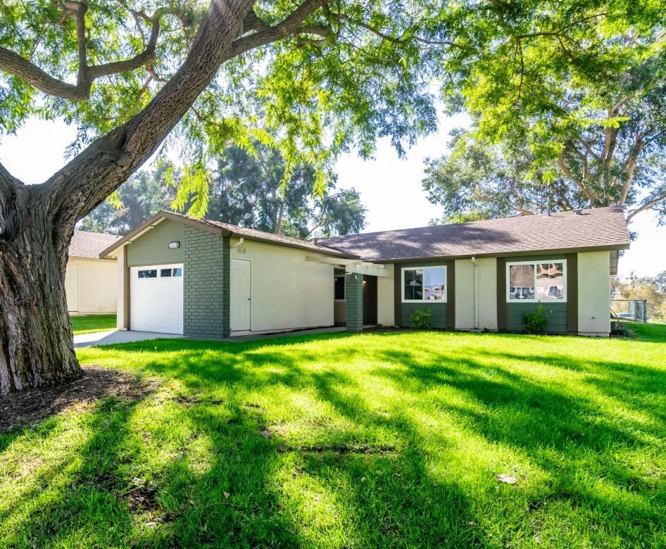 a house with a tree in the front