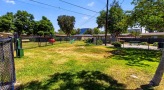 dog park with trees