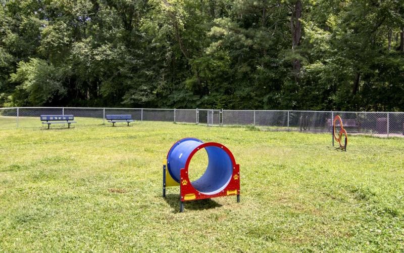 fenced-in dog park with benches