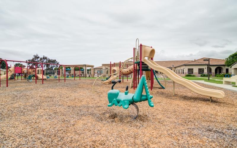 a playground with a slide