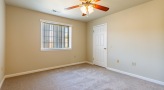 bedroom with carpet ceiling fan and windows