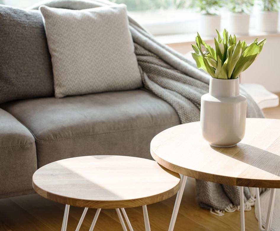 sunlight pours through a large window in furnished living room