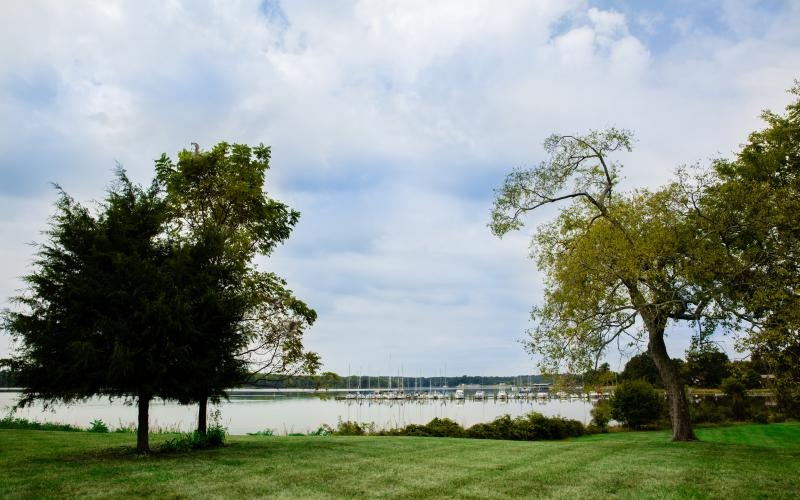 a grassy area with trees and a body of water in the background