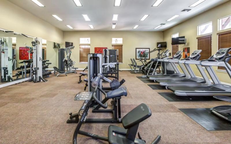 a gym with treadmills