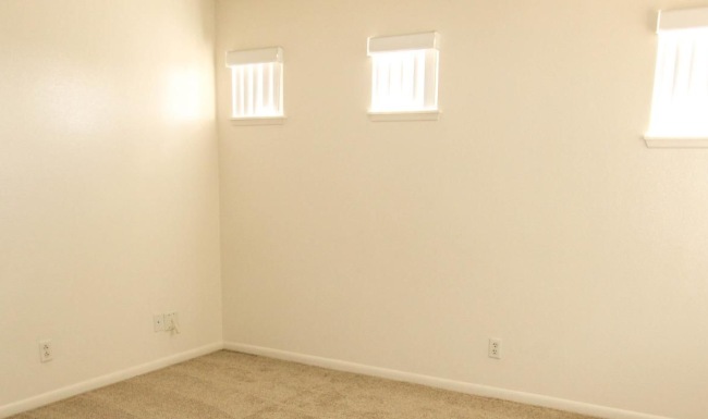 a room with a carpet and windows