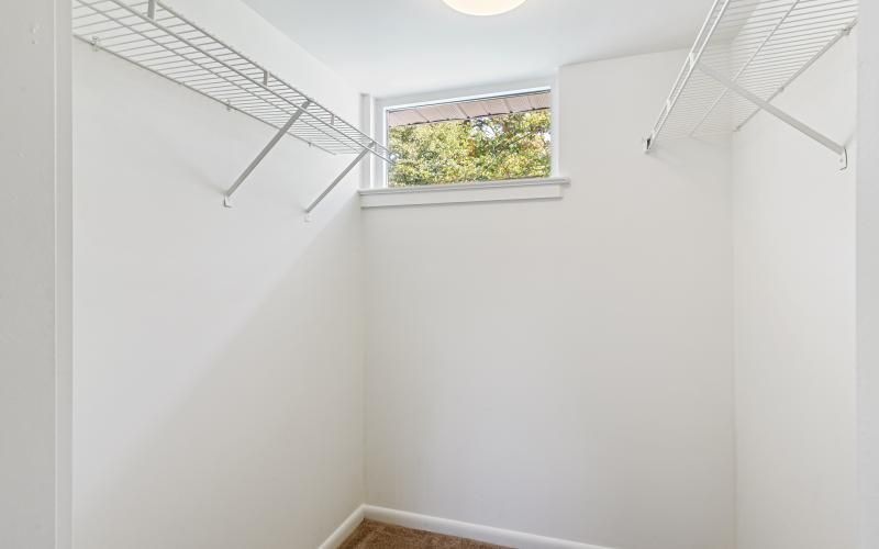 a room with a window and a tree outside