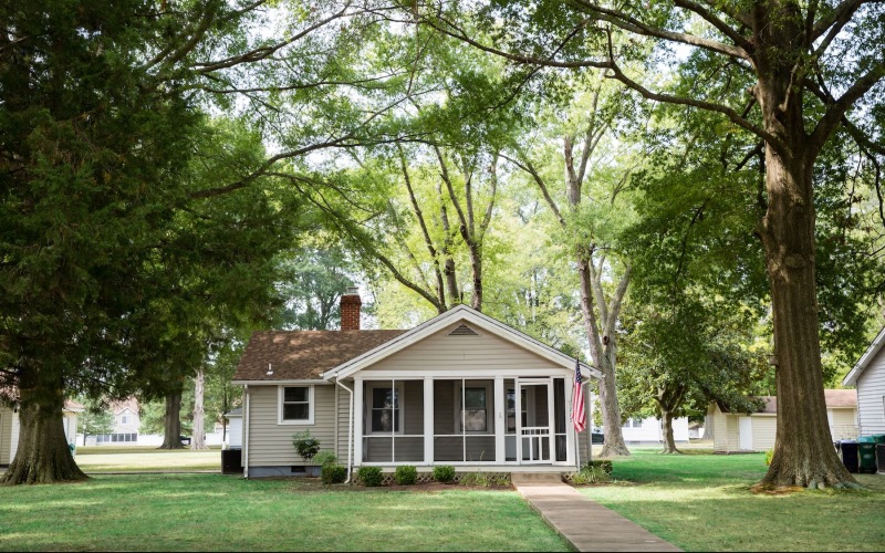 a home amongst trees 
