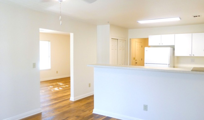 kitchen ara with wood-style flooring and white walls