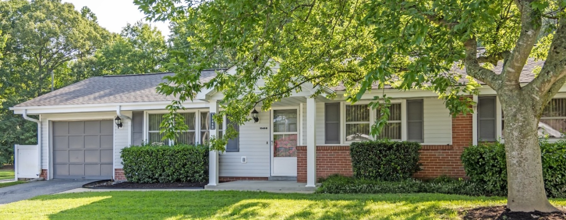 house with a large tree
