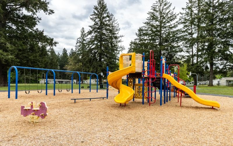 a playground with trees and a slide