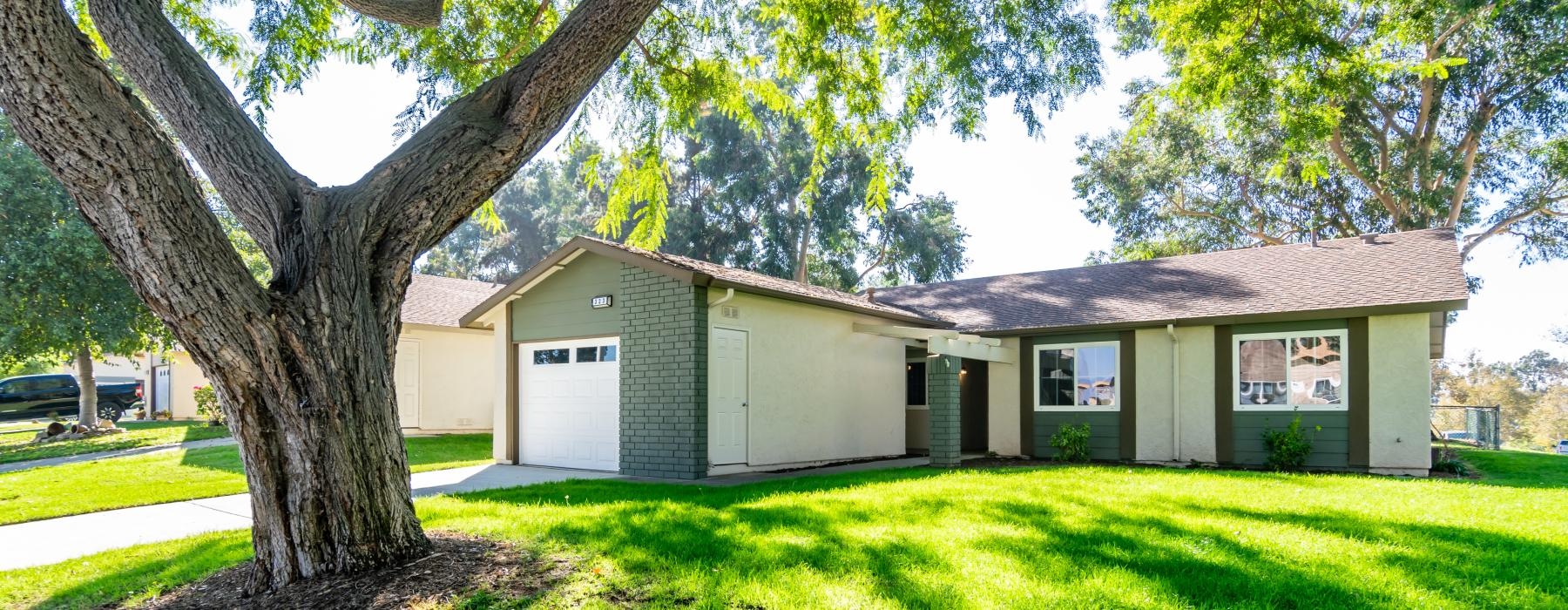 a house with a tree in the front