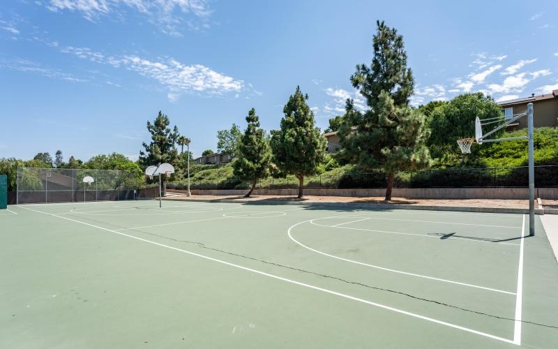 a basketball court with trees