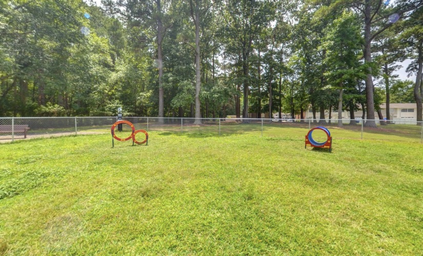 Dog Park