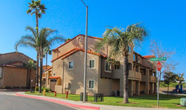 Prospect View neighborhood with homes and palm trees