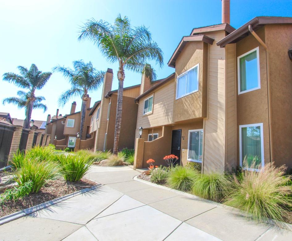 homes surrounded palm trees and manicured walkways