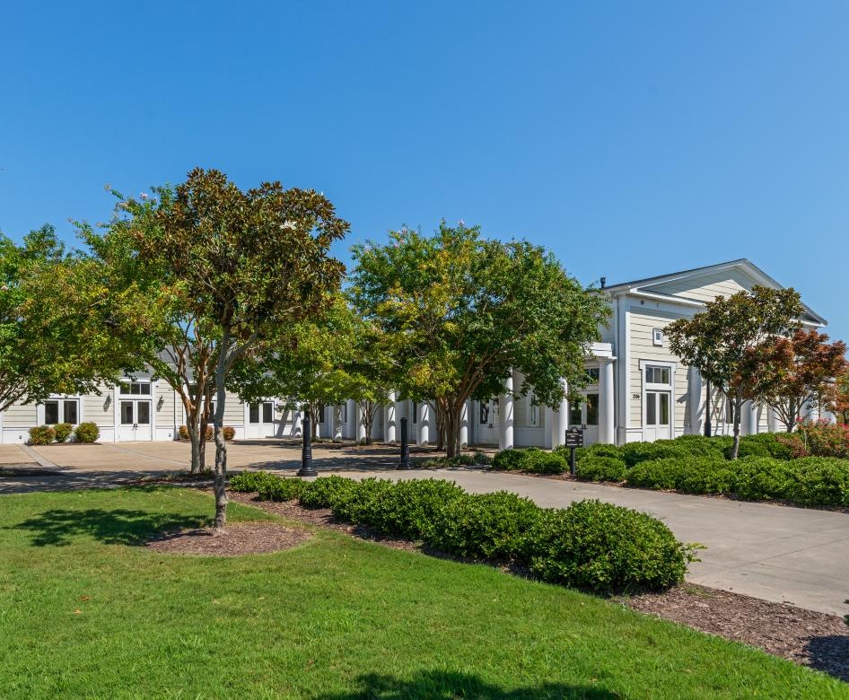 tree lined driveway to homes