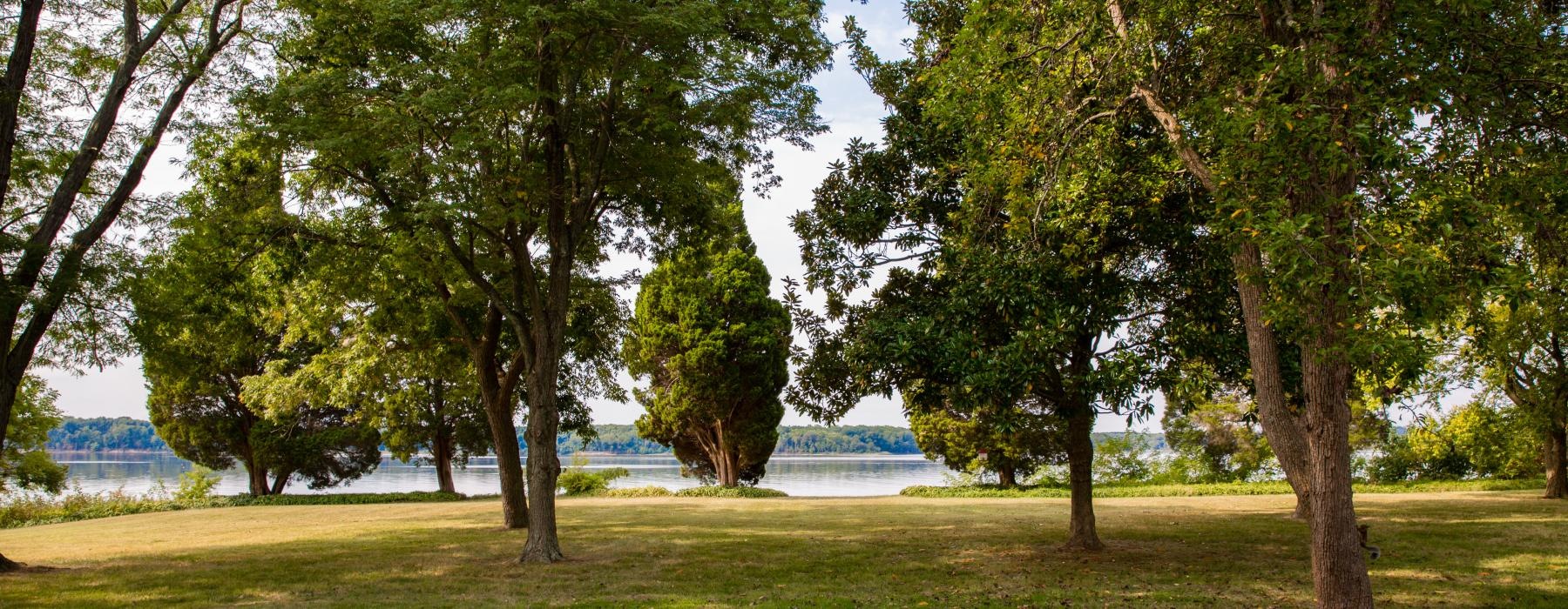 a grassy area with trees and water in the background