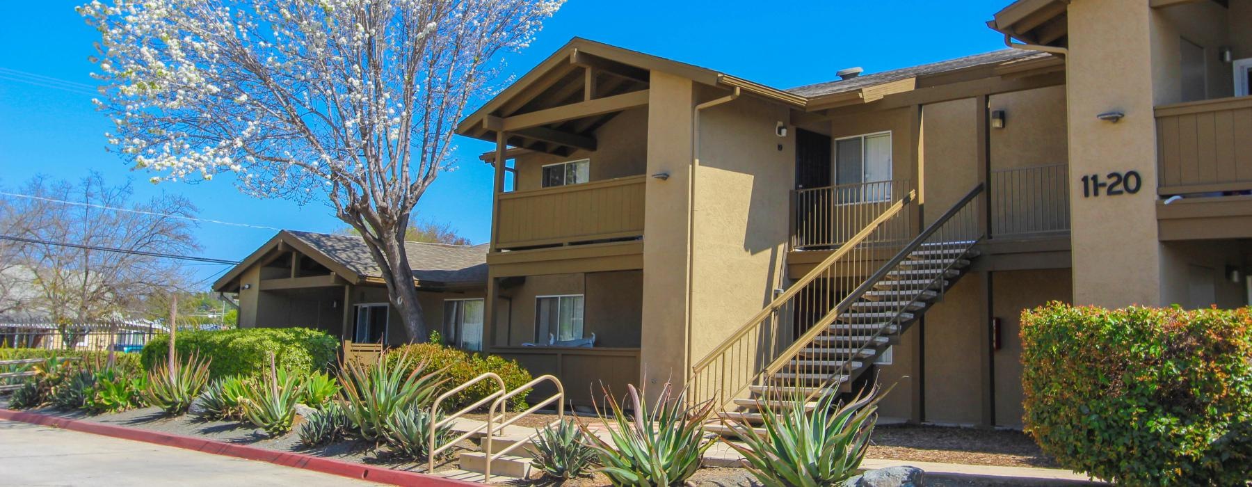 a building with a tree in the front