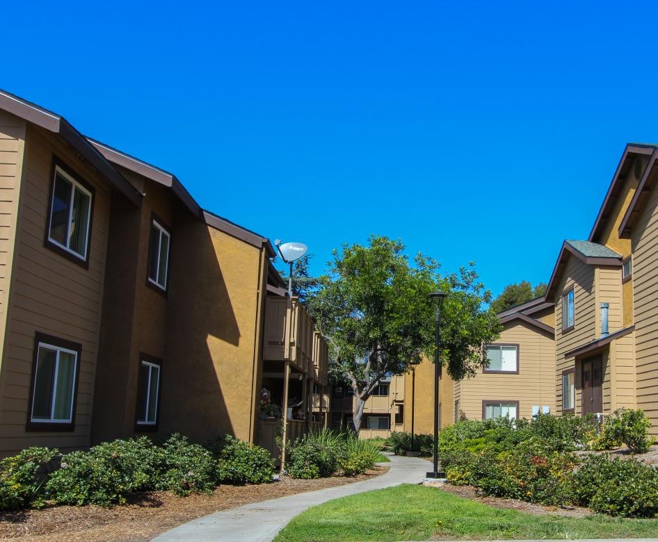 a row of homes flanking walkway