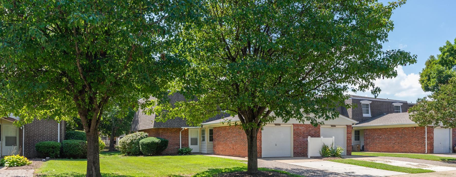 a street with trees and houses