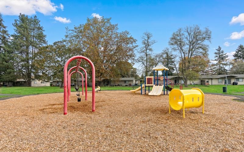 a playground with a slide