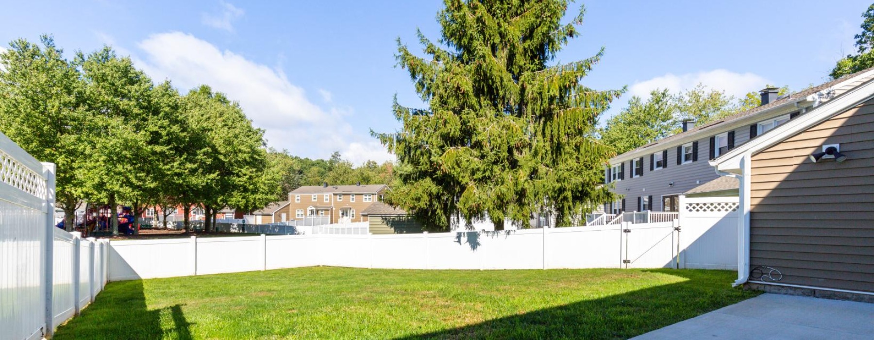 a tree in a yard