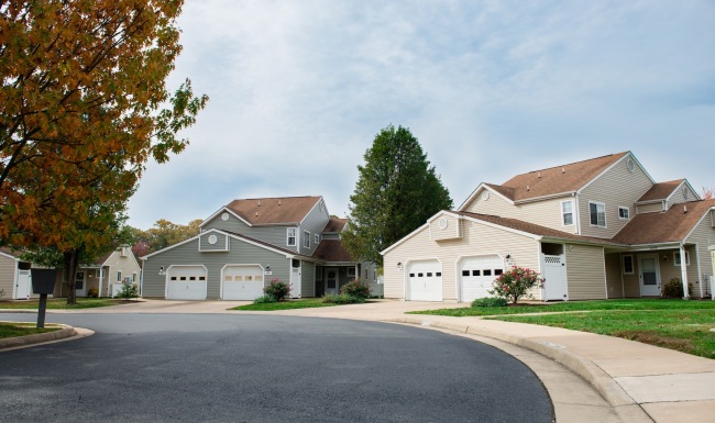 homes along a street