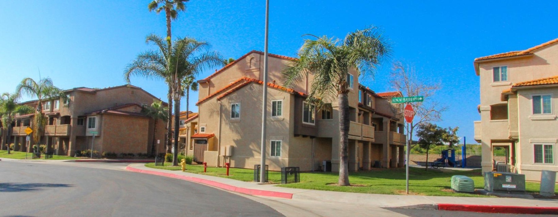 row of houses and palm trees