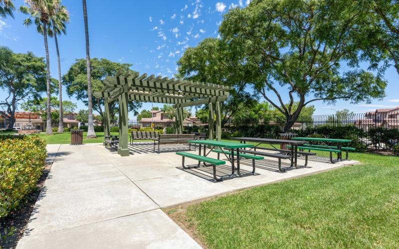 a park with benches and trees