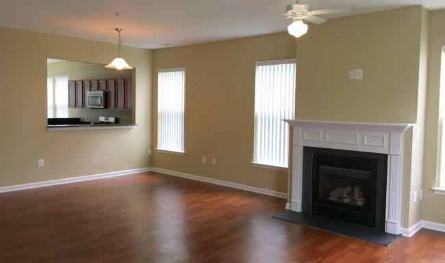 living room with wood floors and a fire place